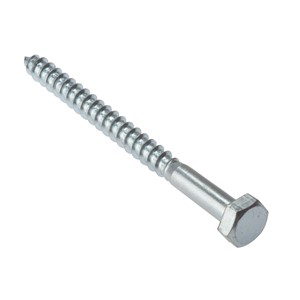 Coach Screws ZP M10 X 100mm Bag (10)