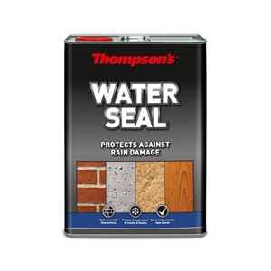 Thompson's Water Seal 5L