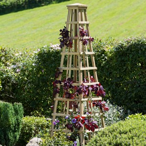 Zest Snowdon Obelisk