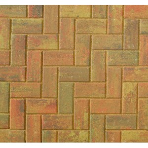 Omega Block Paving Aut Gold 200mm x 100mm x 50mm